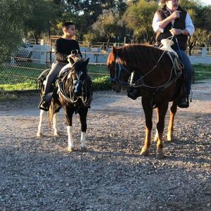 Meet your Posher, Daniel